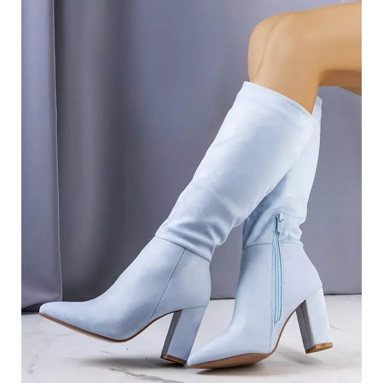 BM Cizme albastre, izolate, pe stâlpul lui Narcis albastru 2