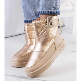 Big Star Cizme de zapada aurii II274121 bej 1