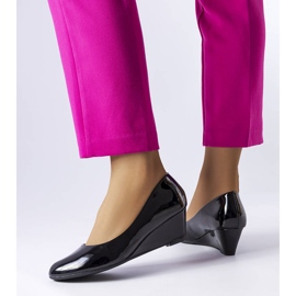 Pompe cu pană brevetate de la Casgra negru 1