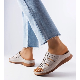 Glisoare cu pană din Jersey gri 1