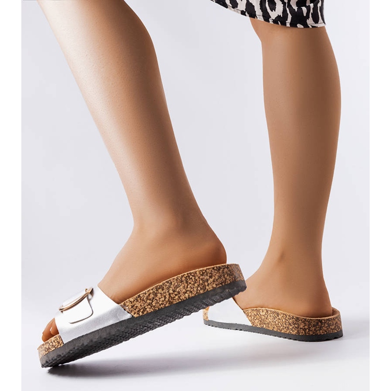 Diapozitive cu cataramă argintie de la Benoit 1