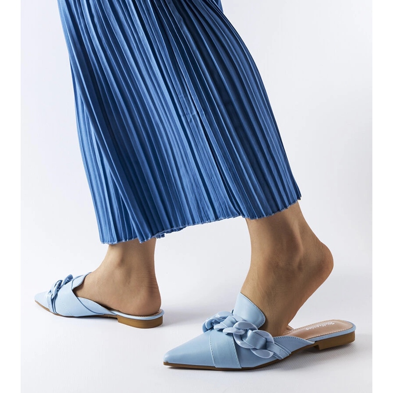 Tobogane de lant albastru Patenaude 1