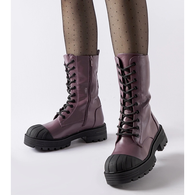 Muncitori de la Cardinale izolate violet 1