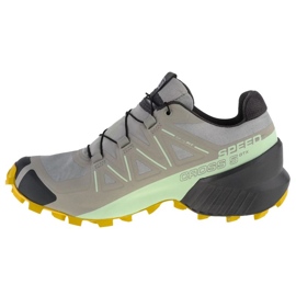 Pantofi de alergare Salomon Speedcross 5 Gtx W 416128 gri 1