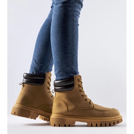 Muncitori din Conroe maro, izolat, mat 2