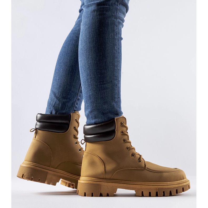 Muncitori din Conroe maro, izolat, mat 2 Muncitori din Conroe maro, izolat, mat 2