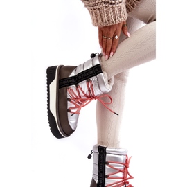 Cizme de zăpadă pentru femei pe o talpă vegană groasă D.Franklin DFSH371006 Silver argint 2