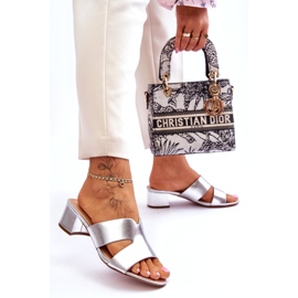 Joia Papuci clasici din piele cu toc mic, argintiu 4