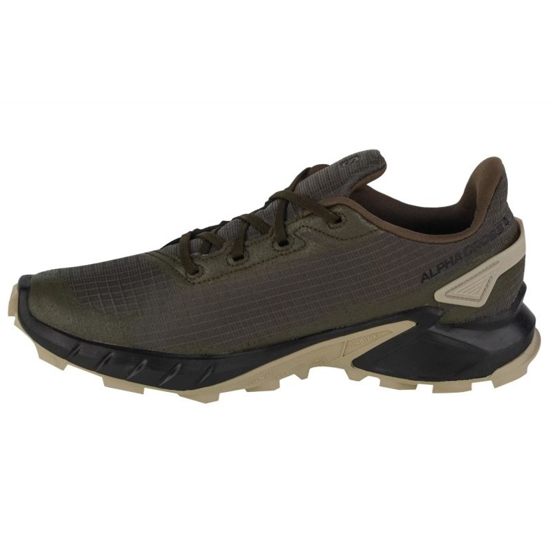 Pantofi de alergare Salomon Alphacross 4 Gtx M 471169 verde 1