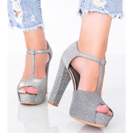 Pompele gri strălucitoare pe stâlpul Elissa 1