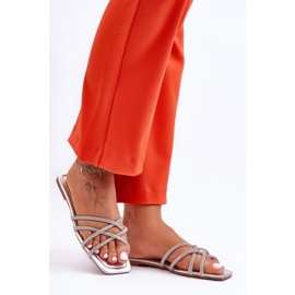 Step in style Sandale Flip-flops Model Leomi 5628-2 CLA-1 Argintiu - Pas în stil gri 1