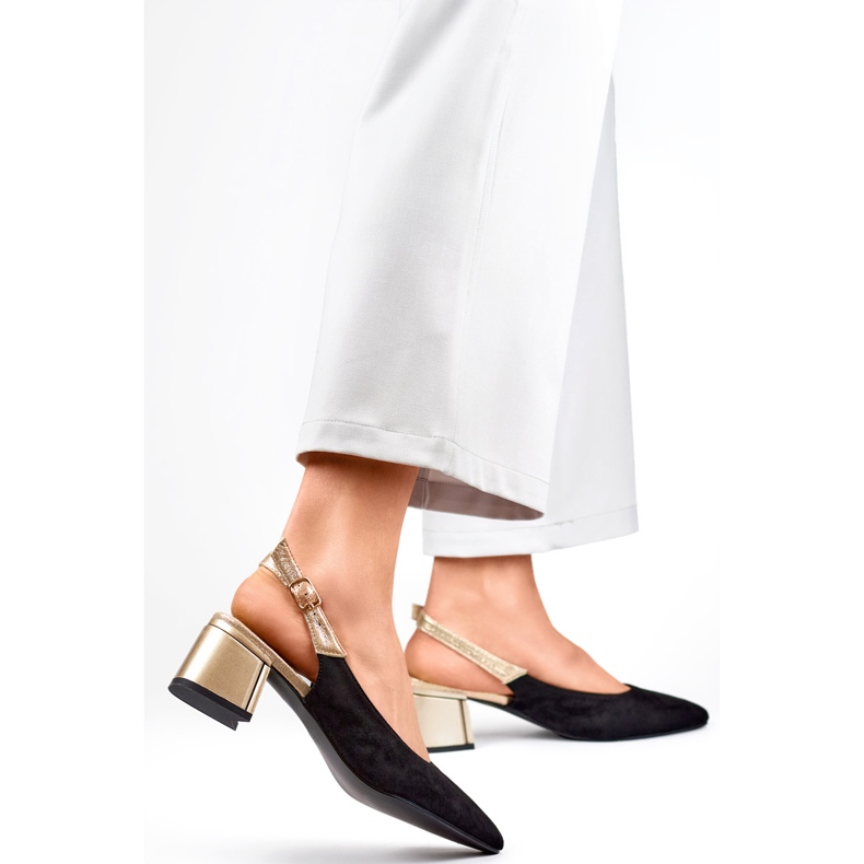 Pompe Model GD-FL495B Negru - PRIMO 2