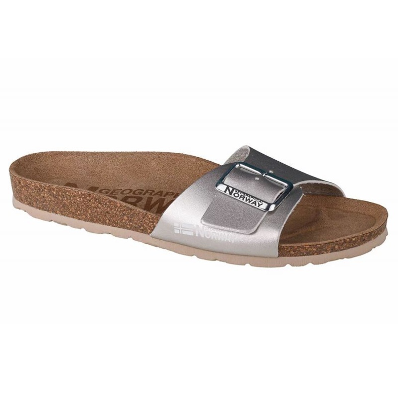 Geographical Norway Papuci Geografici Norvegia Sandalias Bios Pala Hebilla W GNW20410-26 argint 1