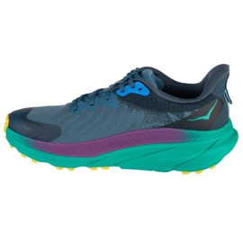 Pantofi de alergare Hoka Challenger Art 7 Gtx 1134501F-RLT albastru 1