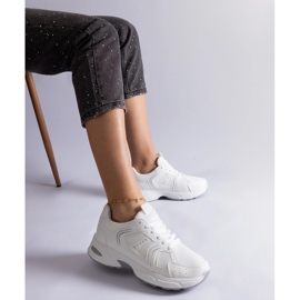 Tenisi sport albi 1 Tenisi sport albi 1