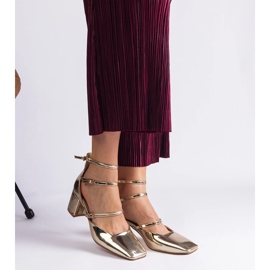 Pompele de aur lăsate pe un post cu catarame 2