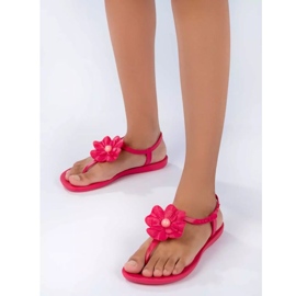 Sandale Ipanema Class Flora Fem W 26845-AF383 roz 10