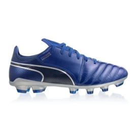 Pantofi Puma 2 Hg Japan 104983 04 albastru 1