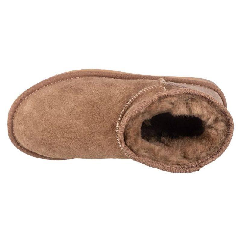 Emu Australia Platinum Slim Darling WP11875-Mush maro 2