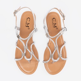 Flip -Flip -Flip -Flops argint 3