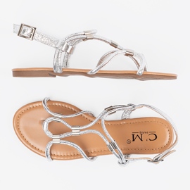 Flip -Flip -Flip -Flops argint 4