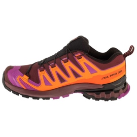 Salomon XA Pro 3D V9 GTX Pantofi de alergare în L47961900 multicolor 1