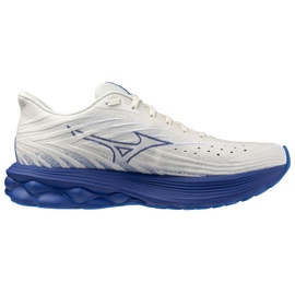 Pantofi mizuno wave 6 m j1gc250954 2