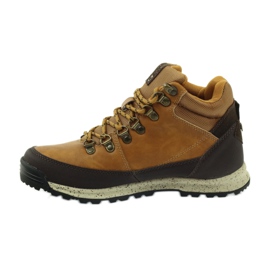 Camel Big Star 174189 trekking sportiv maro multicolor 2