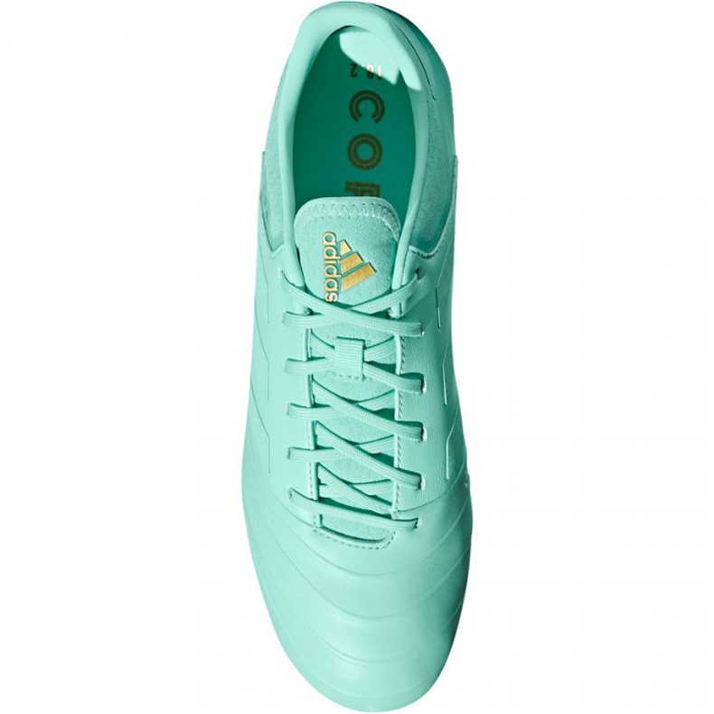 Ghete de fotbal Adidas Copa 18.2 FG M DB2446 albastru 1