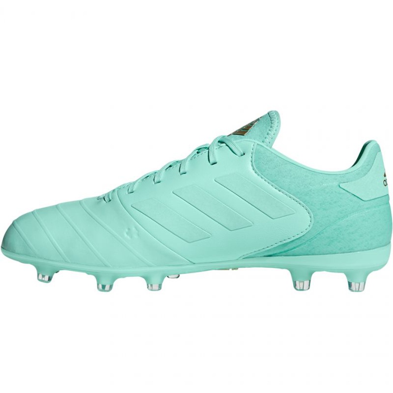 Ghete de fotbal Adidas Copa 18.2 FG M DB2446 albastru 2