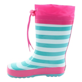 American Club ghete americane.Pisicuta dupa expozitie roz verde 2