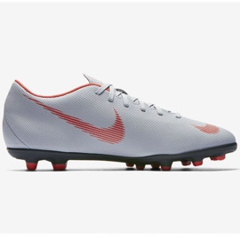 Pantofi de fotbal Nike Mercurial Vapor 12 Club M AH7378-060 multicolor gri 1