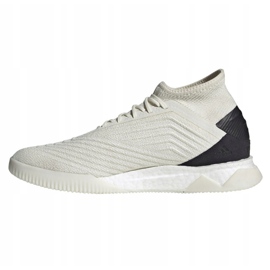 Încălțăminte de interior adidas Predator 19.1 Tr M D98056 multicolor alb 1