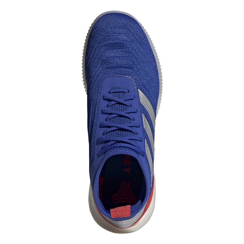 Încălțăminte de interior adidas Predator 19.1 Tr M BB9081 albastru albastru 2