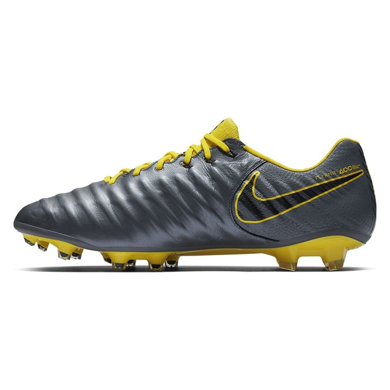 Pantofi de fotbal Nike Tiempo Legend 7 Elite Fg M AH7238-070 gri gri 1