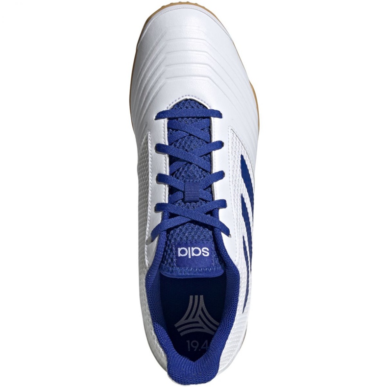 Încălțăminte de interior adidas Predator 19.4 În Sala M D97974 alb alb 2