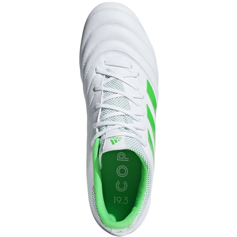 Ghete de fotbal Adidas Copa 19.3 Fg M BB9188 albastru alb 2 Ghete de fotbal Adidas Copa 19.3 Fg M BB9188 albastru alb 2
