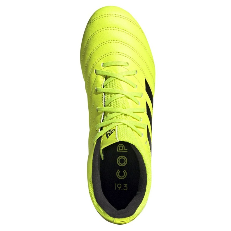 Ghete de fotbal Adidas Copa 19.3 Fg Jr F35466 galben galben 2 Ghete de fotbal Adidas Copa 19.3 Fg Jr F35466 galben galben 2