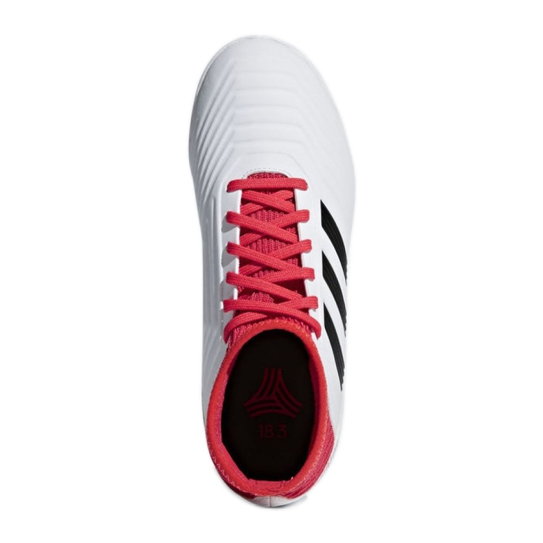 Pantofi de sală adidas Predator Tango 18.3 In Jr CP9073 multicolor alb 2
