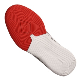 Încălțăminte de interior Nike Jr Vapor 12 Academy Gs Njr Ic Jr AO9474-170 gri gri 2