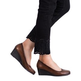 Vinceza Pompe maro pe o pană 2