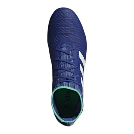 Ghete de fotbal Adidas Predator 18.2 Fg M CP9293 multicolor albastru 1
