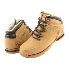 American Club Cizme din dantelă ES39 camel maro multicolor 3