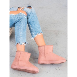 SDS Pulbere Mukluki roz 2