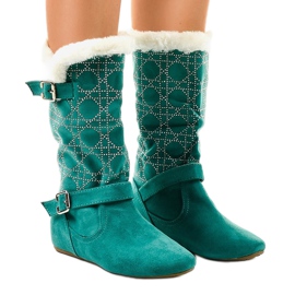 Cizme plate verzi până la mijlocul gambei R100 verde 1 Cizme plate verzi până la mijlocul gambei R100 verde 1