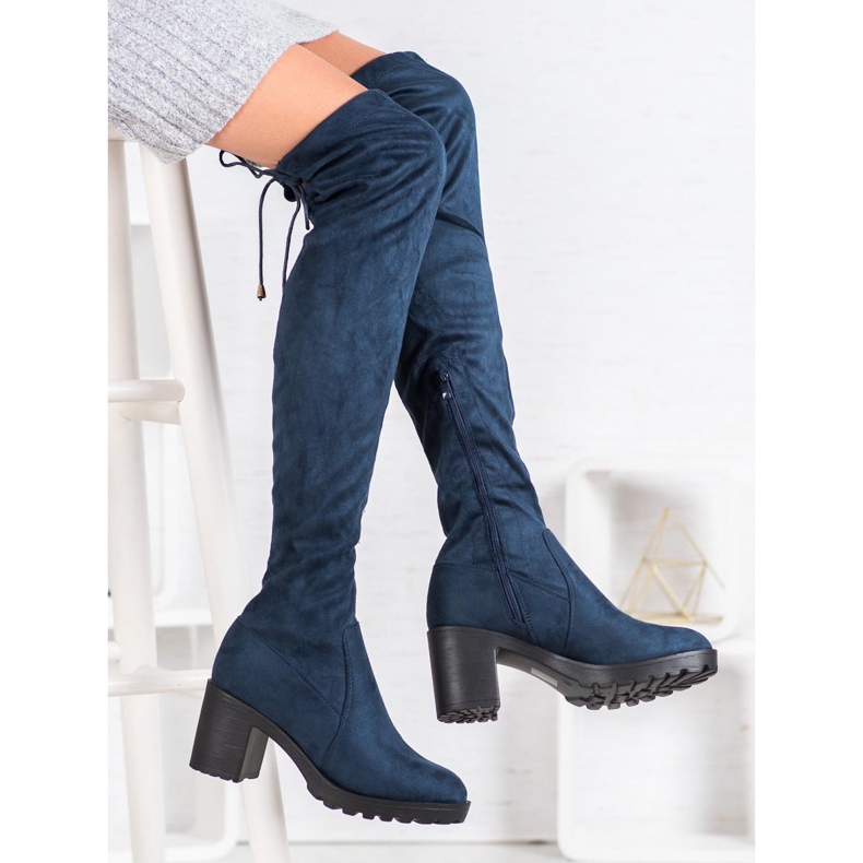 Small Swan Muschetarii de piele de căprioară pe un stâlp albastru 2