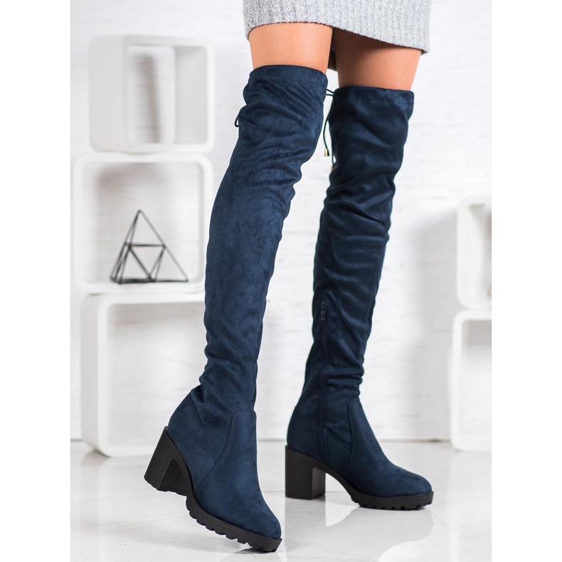 Small Swan Muschetarii de piele de căprioară pe un stâlp albastru 1