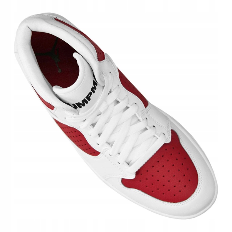 Nike Jordan Access M AR3762-106 multicolor alb 2