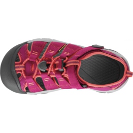 PANTHERA 1014251. Keen Newport H2 Jr. roz 2