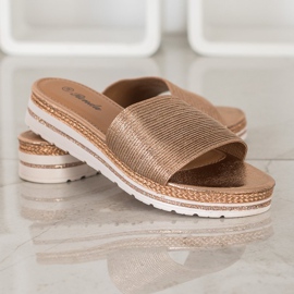 Renda Papuci de aur strălucitori 2